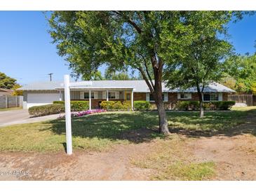 Charming single-story home with a well-maintained lawn, flowering shrubs, and a bright yellow front door at 7042 N 13Th St, Phoenix, AZ 85020