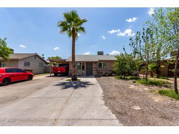 Charming single-story home with a palm tree in the front yard and covered parking at 3311 E Harvard St, Phoenix, AZ 85008