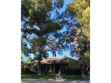 Charming single-story brick home with a well-maintained front yard and mature trees at 930 E Page St, Gilbert, AZ 85234