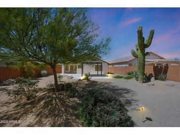 Charming desert backyard featuring a covered patio, mature trees, and a towering saguaro cactus at 4045 E Desert Marigold Dr, Cave Creek, AZ 85331