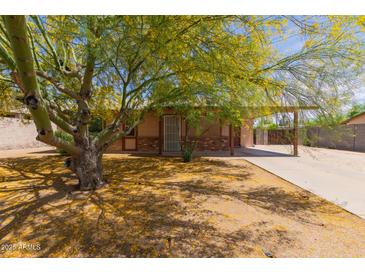 Cozy home featuring desert landscaping and a charming tree at 525 N 94Th Way, Mesa, AZ 85207