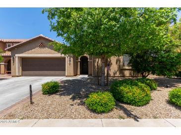 Inviting single-story home featuring a charming front yard with mature tree and desert landscaping at 11952 W Overlin Ln, Avondale, AZ 85323