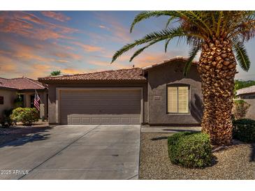 Charming single-story home with a well-manicured yard and attached two-car garage at 19942 N 108Th Ave, Peoria, AZ 85373
