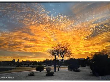 Striking sunrise view over the neighborhood with a single bare tree in the foreground at 15133 W Wildfire Dr, Surprise, AZ 85374