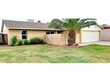 Charming single-story home with a tidy front lawn and mature palm tree at 5435 W Christy Dr, Glendale, AZ 85304