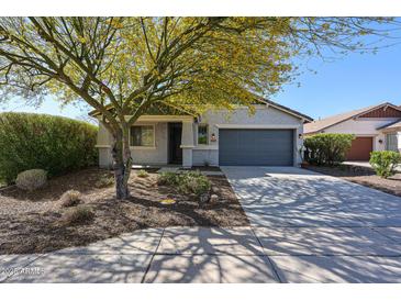 Charming single-story home with a well-maintained front yard and mature tree providing shade at 12679 W Lowden Rd, Peoria, AZ 85383