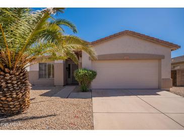 Charming single-story home featuring a two-car garage and desert landscaping with a large palm tree at 1343 W Roadrunner Dr, Chandler, AZ 85286