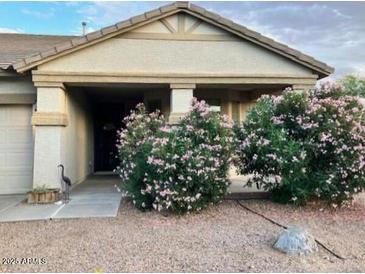 Charming single-story home with a well-maintained front yard and beautiful flowering bushes at 171 W Hawaii Dr, Casa Grande, AZ 85122