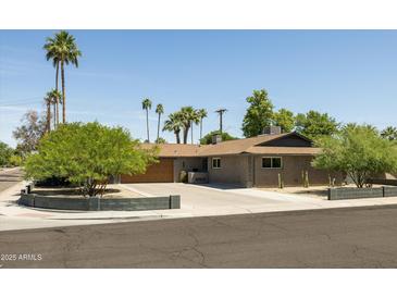 Charming single-story home with desert landscaping, mature trees, and a spacious driveway at 8502 E Rose Ln, Scottsdale, AZ 85250