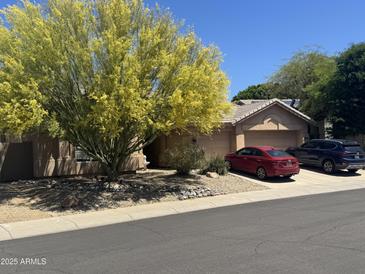 Charming single-story home with a two car garage, desert landscaping, and beautiful Palo Verde tree at 4508 E Paso Trl, Phoenix, AZ 85050