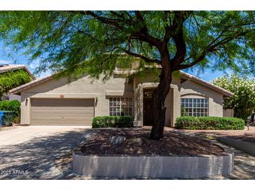 Charming single-story home featuring a well-maintained front yard and mature shade tree at 4544 E Campo Bello Dr, Phoenix, AZ 85032