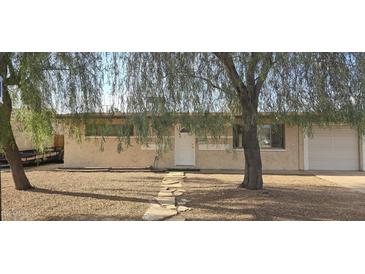 Charming single-story home featuring a well-maintained gravel yard, stone pathway, and mature tree at 1526 W Huntington Dr, Tempe, AZ 85282