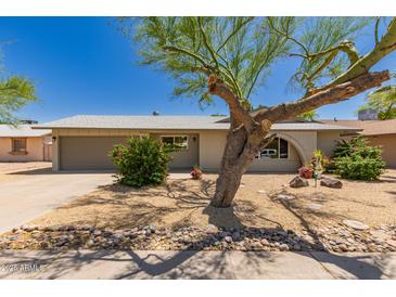 Charming single-story home with well-manicured front yard and desert landscaping featuring a unique tree at 1115 E Carter Dr, Tempe, AZ 85282