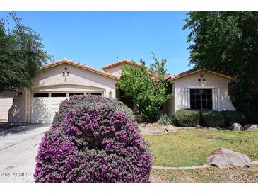 Charming single-story home featuring a two-car garage, lush landscaping, and desert plants at 2413 S 121St Dr, Avondale, AZ 85323