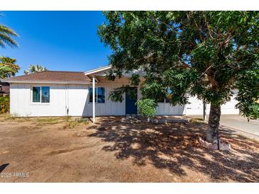 Charming single-story home with a neat front yard and inviting curb appeal, featuring a mature shade tree at 13039 N 19Th Ave, Phoenix, AZ 85029