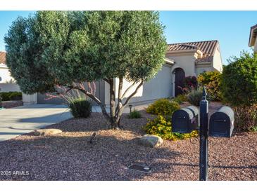 Charming home featuring a lush front yard with a mature olive tree and colorful landscaping at 12934 W Chapala Dr, Sun City West, AZ 85375