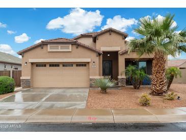 Beautiful home featuring a two-car garage, neutral stucco, desert landscaping and a gorgeous palm tree at 41413 W James Ln, Maricopa, AZ 85138