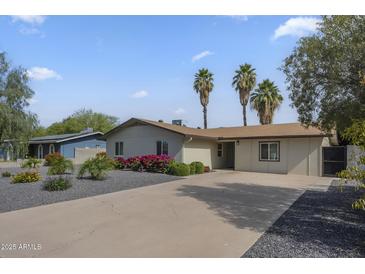 Charming single-story home with desert landscaping, palm trees, and a spacious driveway at 4240 E Bluefield Ave, Phoenix, AZ 85032