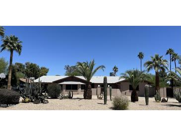 Charming single-story home featuring desert landscaping with mature palm trees and various cacti at 5514 E Pershing Ave, Scottsdale, AZ 85254