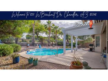 Beautiful backyard pool surrounded by mature landscaping, a covered patio and rock accents for ultimate outdoor living at 835 W Beechnut Dr, Chandler, AZ 85248