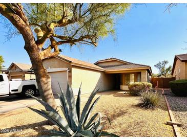 Charming single-story home featuring a well-maintained front yard with mature landscaping and a cozy entrance at 30100 N Sunray Dr, San Tan Valley, AZ 85143