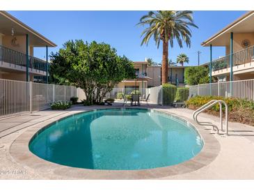 Beautiful community pool with lounge chairs, patio table and lush landscaping at a charming, well-maintained property at 3655 N 5Th Ave # 202, Phoenix, AZ 85013