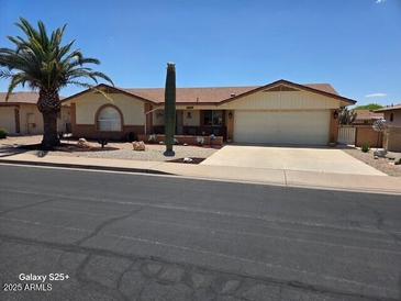 Charming single-story home featuring a well-maintained lawn and a desert-themed landscape with a palm tree at 8303 E Meseto Ave, Mesa, AZ 85209