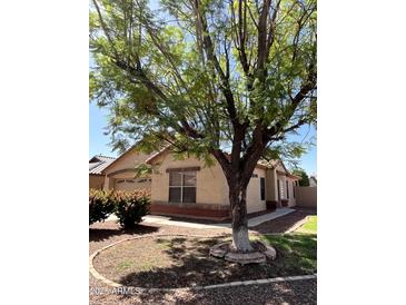 Charming single-story home featuring a well-maintained front yard and a beautiful mature shade tree at 1827 E Carla Vista Dr, Gilbert, AZ 85295