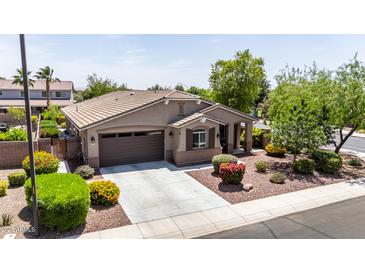 Well maintained single-Gathering home with a beautiful landscaped front yard and a two car garage at 2507 E Eleana Ln, Gilbert, AZ 85298
