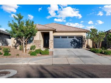 Charming single-story home featuring a gray garage door, stone accents, and well-maintained landscaping at 25119 N 134Th Dr, Peoria, AZ 85383