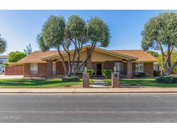 Inviting single-story brick home with mature trees, manicured lawn, and charming walkway at 1704 E Hackamore St, Mesa, AZ 85203