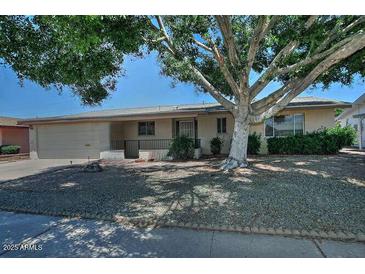 Charming single-story home with mature landscaping and an inviting facade at 5932 E Colby St, Mesa, AZ 85205