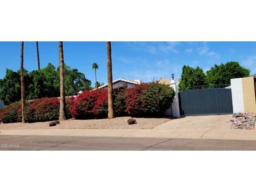 Well-maintained front yard with mature landscaping and privacy gate at 2068 E Cairo Dr, Tempe, AZ 85282