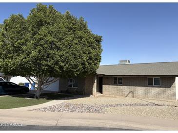 Single-story home with brick facade, desert landscaping, and mature shade tree at 730 N Karen Dr, Chandler, AZ 85224