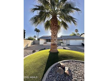 Charming home featuring a lush green landscaped yard with a beautiful palm tree at 4838 W Christine Cir, Glendale, AZ 85308