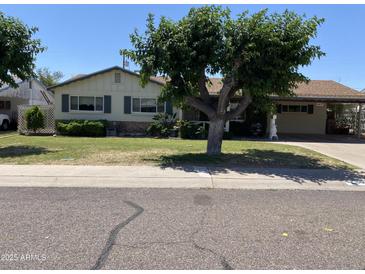 Charming single-story home with well-maintained lawn and mature tree offering shade at 6637 E Culver St, Scottsdale, AZ 85257