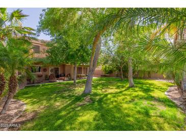 Expansive backyard featuring mature trees and lush green grass, perfect for outdoor activities and relaxation at 3274 E Denim Trl, San Tan Valley, AZ 85143