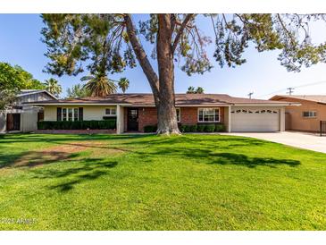 Charming single story home with a lush green lawn and mature shade tree in the front yard at 709 E Hayward Ave, Phoenix, AZ 85020