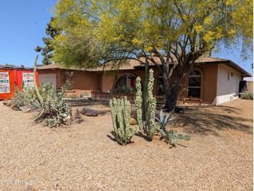 Front yard featuring native cacti and desert plants surrounding a brick home at 2934 W Northview Ave, Phoenix, AZ 85051