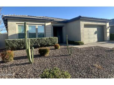 Southwest home featuring desert landscaping with cacti and gravel, enhancing curb appeal at 10305 E Strobe Ave, Mesa, AZ 85212