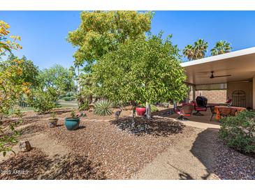 Enjoy an outdoor living space with a covered patio and beautifully landscaped backyard area at 14819 W Lupine Ln, Surprise, AZ 85374