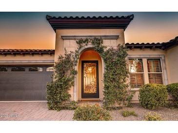 Elegant home entrance features a decorative iron door and lush vines climbing the stone archway at 2623 E Indigo Pl, Chandler, AZ 85286