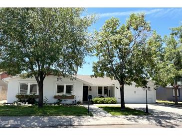 Charming single-story home with a well-manicured lawn, mature trees, and a welcoming front entrance at 3811 E Evans Dr, Phoenix, AZ 85032