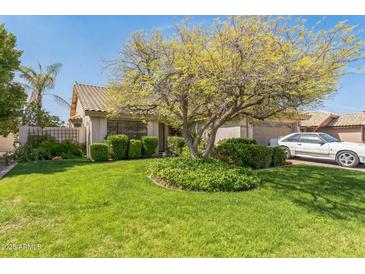 Charming home featuring a well-manicured lawn and mature shade tree at 5263 E Hannibal St, Mesa, AZ 85205