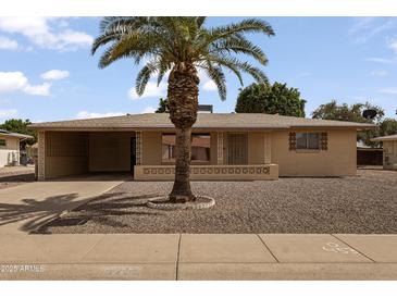 Charming single-story home with a desert-style yard and a mature palm tree in the front at 6217 E Dodge St, Mesa, AZ 85205