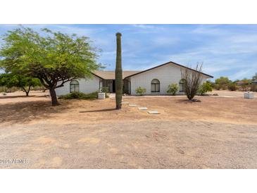 Charming single-story home with a desert landscape, white brick, and a striking saguaro cactus at 10849 E Elmwood St St, Mesa, AZ 85207