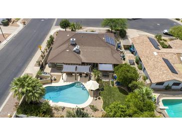 Aerial view of backyard featuring pool, patio, and well-maintained landscaping at 1656 W Meseto Cir, Mesa, AZ 85202