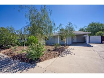 Charming single-story home featuring a well-maintained front yard and a long driveway at 3841 N 21St Ave, Phoenix, AZ 85015