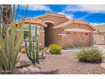 Southwest home featuring desert landscaping, including cacti, rocks, and flowering bushes at 3913 E Derringer Way, Gilbert, AZ 85297