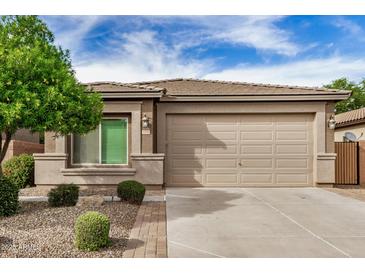 Charming single-story home features a well-maintained yard with attractive landscaping and a two-car garage at 1008 W Heatherwood St, San Tan Valley, AZ 85140